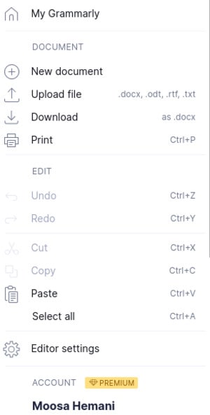 Ein Dropdown-Menü der Benutzeroberfläche von Grammarly