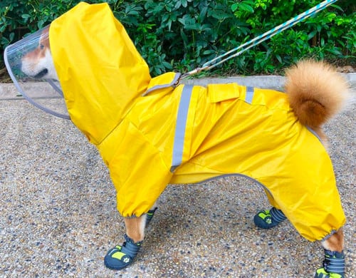 2021년 최고의 제품 아이디어