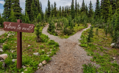 不況に打ち勝っている8つの繁栄している企業からの成功に適応することを学ぶ