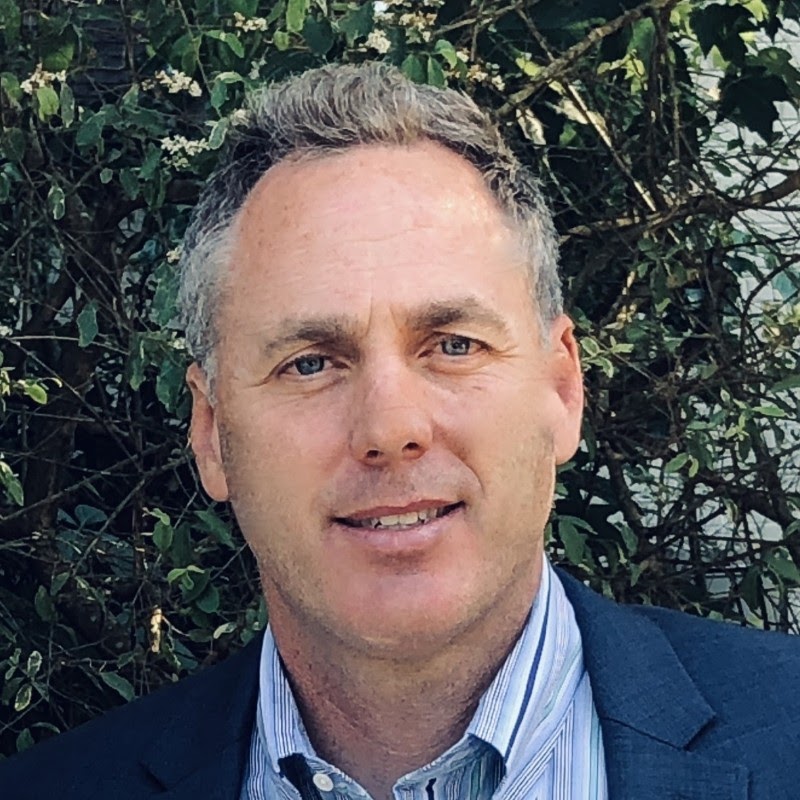 estrategias de revips