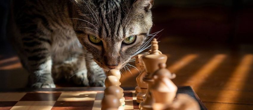 3 Strategi Teratas untuk Mencapai Keunggulan Proses