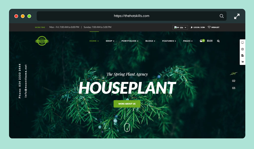 plantas de primavera