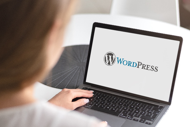 WordPress 개발 회사를 선택할 때 고려하십시오