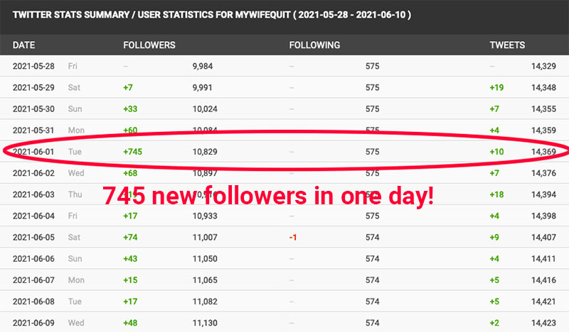 Pengikut Twitter Baru