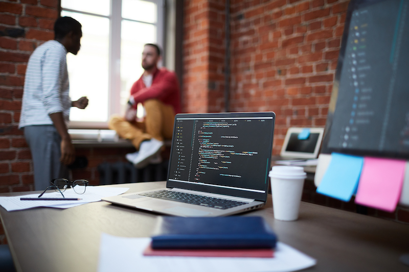 구글 알고리즘 2022