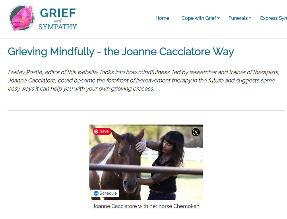 网络配置文件示例