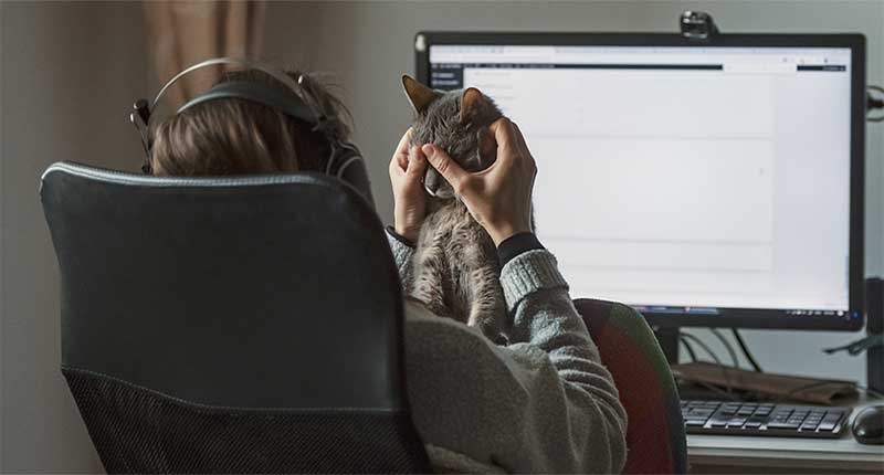 Wanita membelai alis mata kucingnya