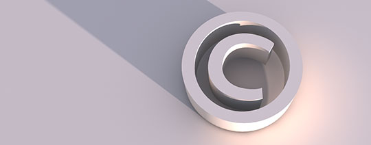 선택-도메인 이름-회피-저작권