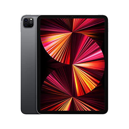 2021 Apple 11" iPad Pro (Wi-Fi, 256 GB) – Space Grau