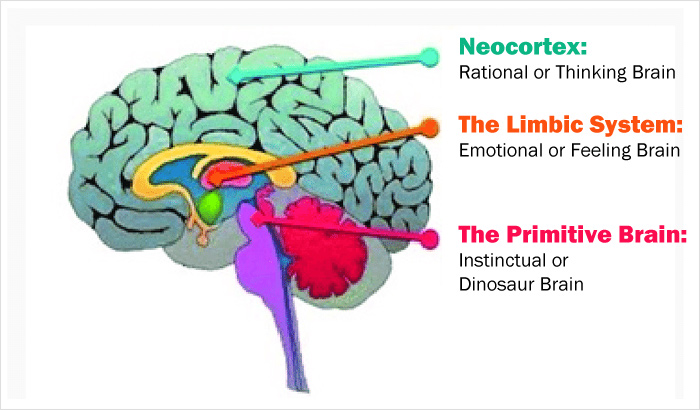 適切な感情を選択してください