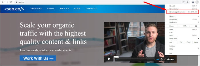 Use um navegador diferente ou vá incógnito