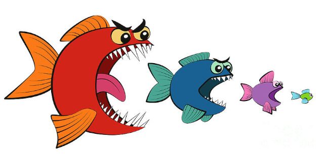 Mopinion: Состояние клиентского опыта (CX): что происходит сейчас? - Большая рыба