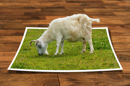 programa-edicion-imagen-modelado-3d-photoshop-frame-perspective