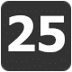 第 25 点