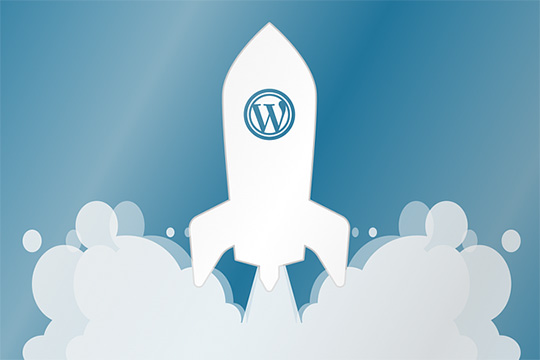 wordpress-hosting-marketing-website-design-desarrollo