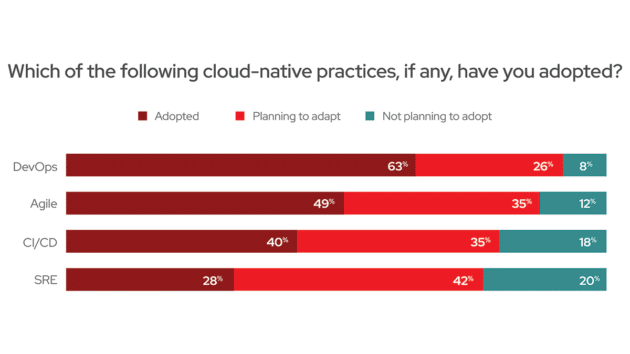 libro electrónico de perspectiva de desarrollo nativo de la nube