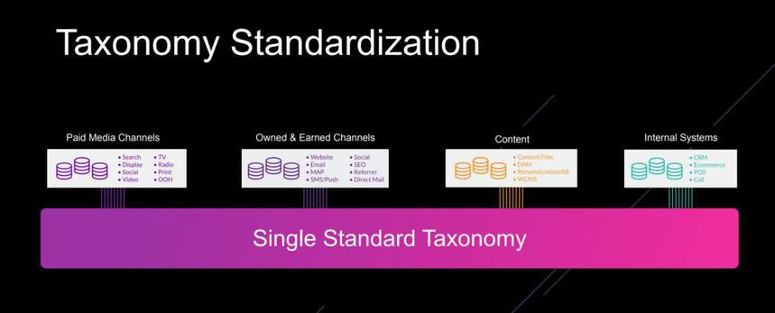 standardizzazione della tassonomia