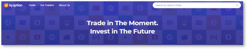 Поле поиска на сайте IQ Option