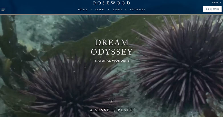 การออกแบบเว็บไซต์ที่หรูหรา