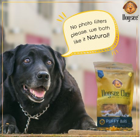 デジタルマーケティングにおけるコンテンツマーケティング手法