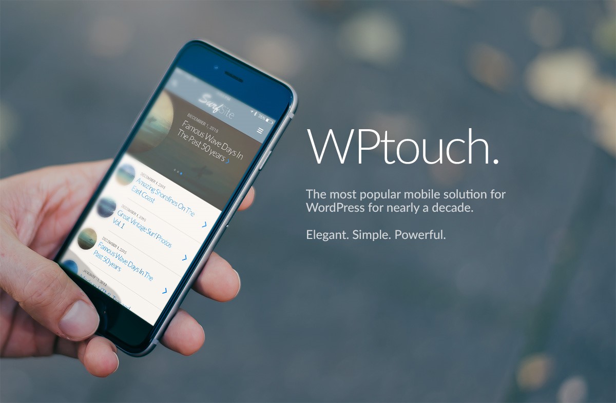 Plugin WP Touch