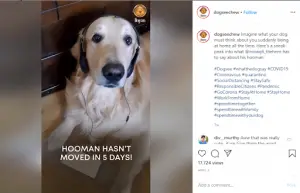 Marketing de vídeo no Facebook e Instagram