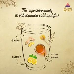 تصميمات وسائل التواصل الاجتماعي