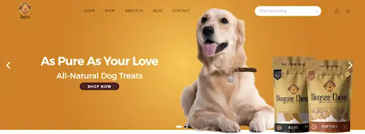 Importantes de imagens relevantes para o design do site