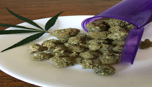 Delta 8 Flower CBD flower