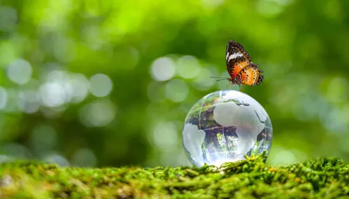 Global Awakening | Tycoonstory Media Global Awakening Real Estate