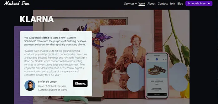 Makers’ Den Healthcare Software Development Companies