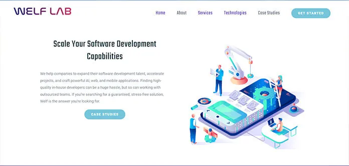 Welf Lab  Healthcare Software Development Companies