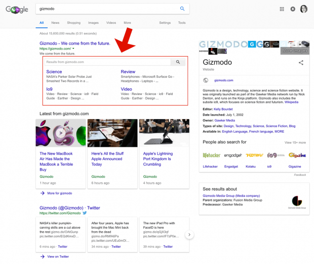 Um exemplo de sitelinks orgânicos