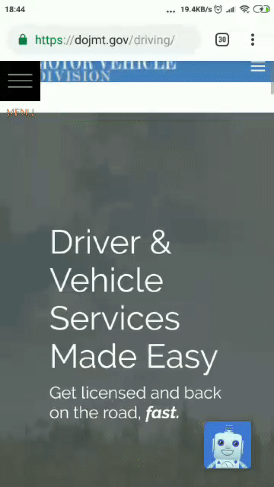 Captura de pantalla del chatbot del DMV