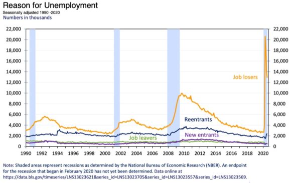 Motivo del desempleo