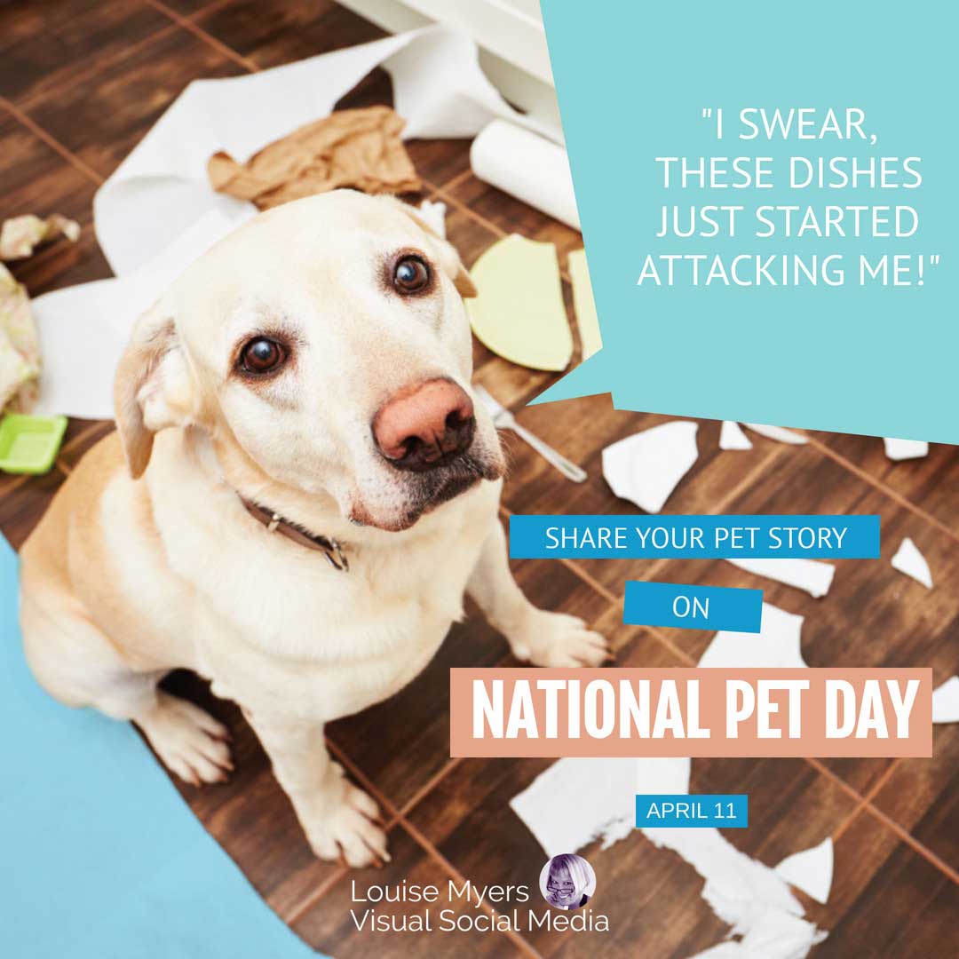 ลูกสุนัขน่ารักพูดว่าแบ่งปันเรื่องราวสัตว์เลี้ยงของคุณในวันสัตว์เลี้ยงแห่งชาติ