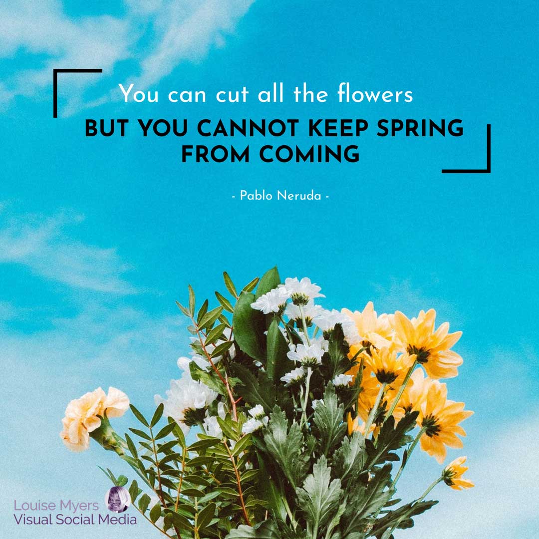 空を背景にしたデイジーの束は、すべての花を切ることはできますが、春を止めることはできないと言っています。