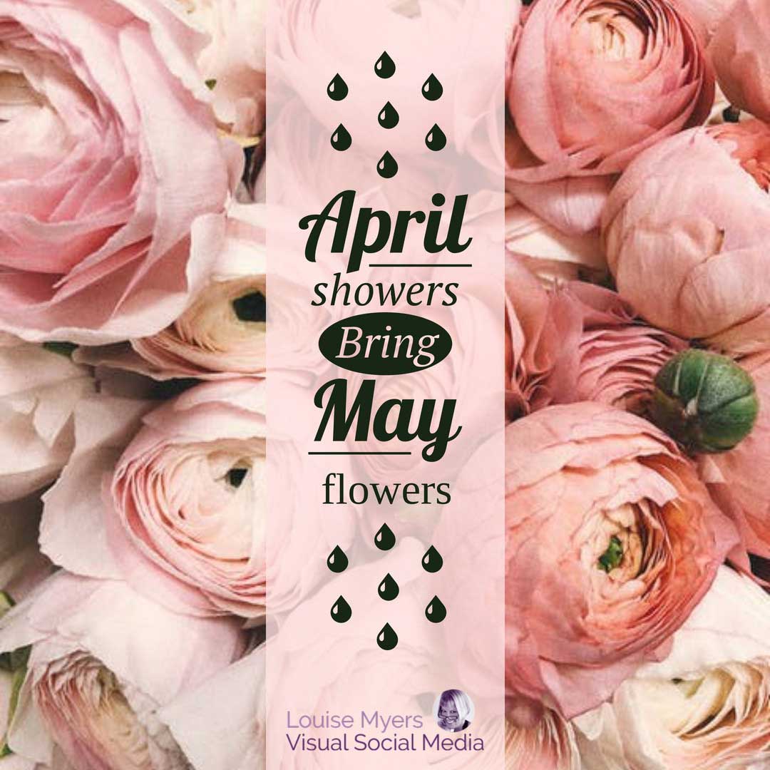 ピンクの牡丹の写真は、4月のシャワーが5月の花をもたらすと言います。