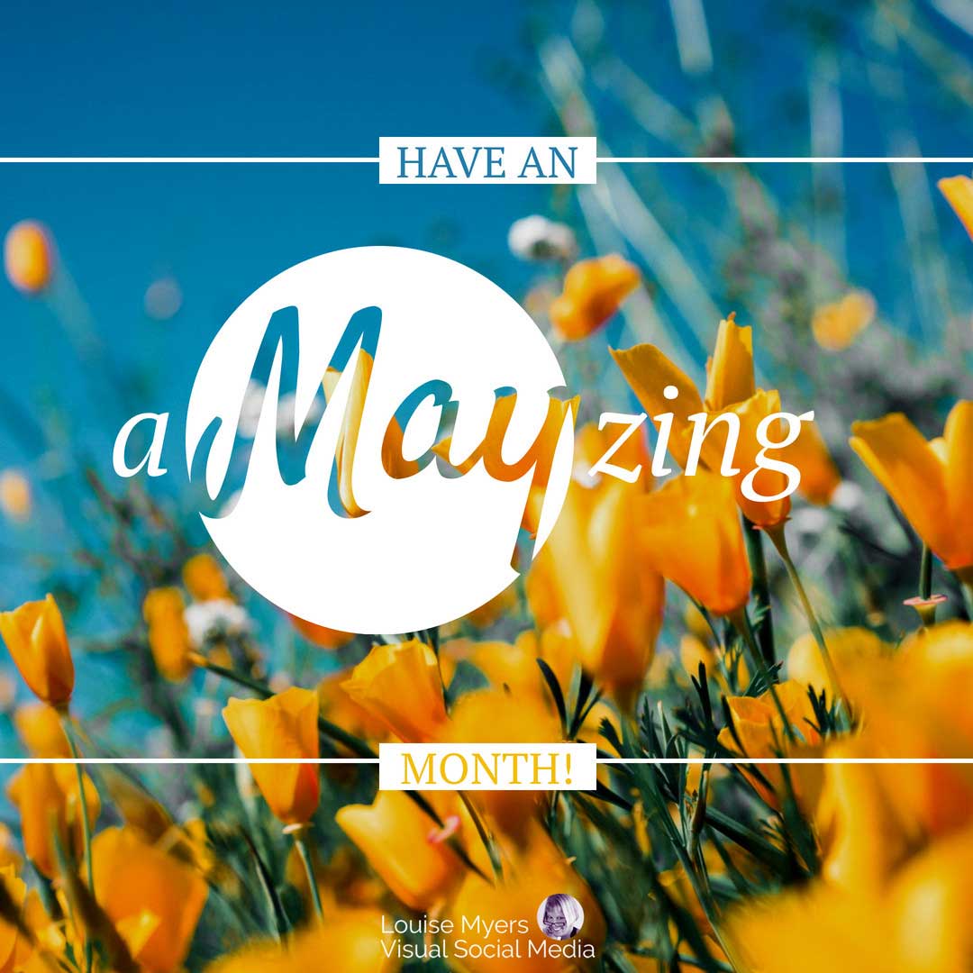 bunga poppy kuning di langit biru mengatakan memiliki bulan yang menakjubkan.