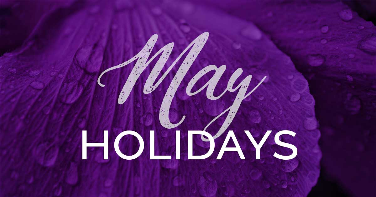 kelopak ungu dengan tetesan embun mengatakan liburan Mei.