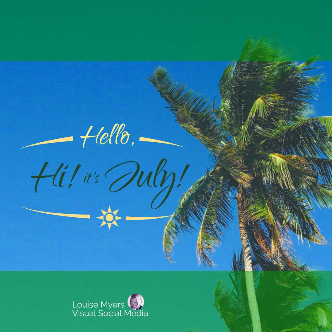 pohon palem di langit biru menyapa hai juli.