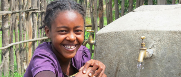 water 1st international, organizatii de apa