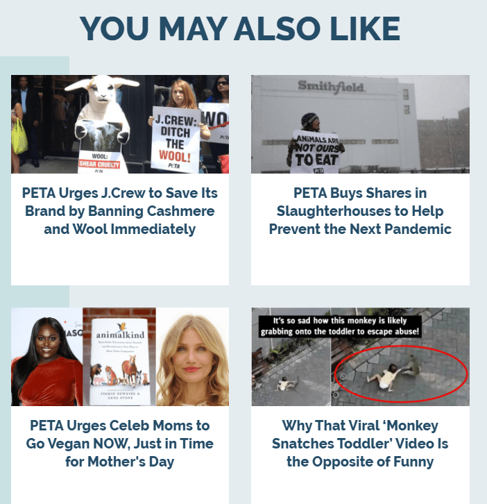 Ejemplos de contenido relacionado en un sitio web que puede ayudar a convertir el tráfico orgánico.