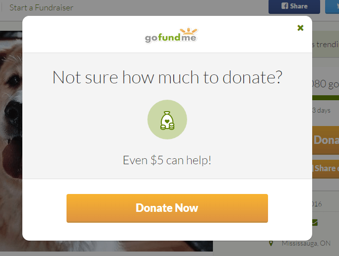 Un lightbox que puede ayudar a convertir el tráfico orgánico en su sitio web sin fines de lucro.