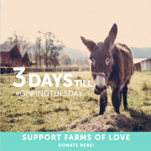 Captură de ecran 2015-09-30 la 16.10.32