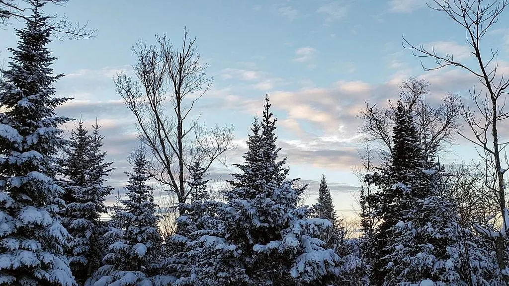 พูดจาเป็นนิสัย