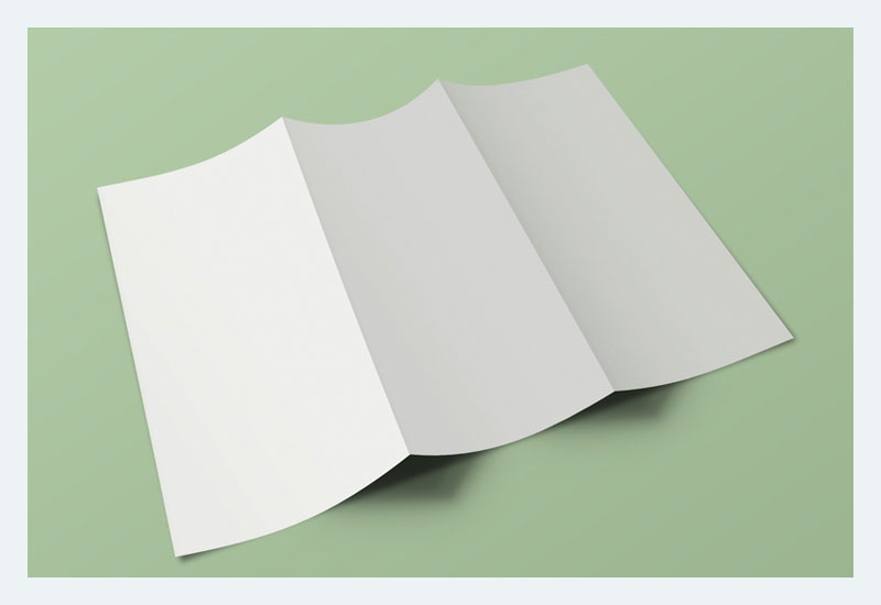 正面和背面三折小册子样机免费赠品