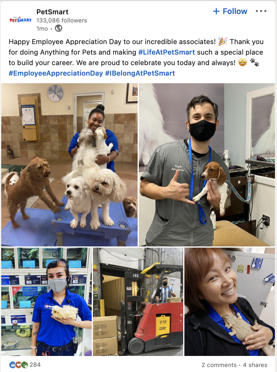 Petsmart Employer Branding bindet Mitarbeiter