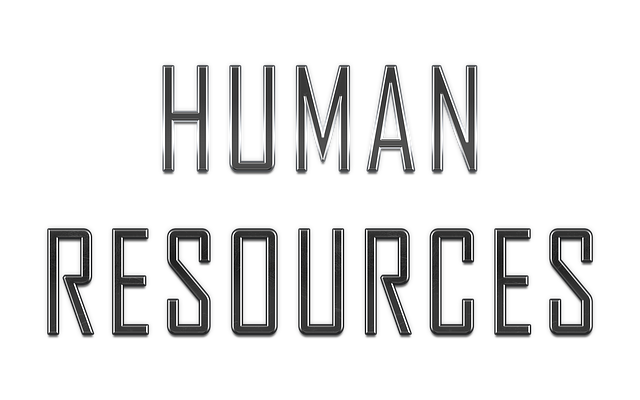 Tout ce que vous devez savoir sur une carrière en RH : expliqué