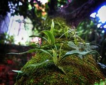 ต้องการกลยุทธ์การเพิ่มประสิทธิภาพอัตราการแปลงเพิ่มเติมหรือไม่